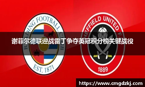 谢菲尔德联迎战雷丁争夺英冠积分榜关键战役